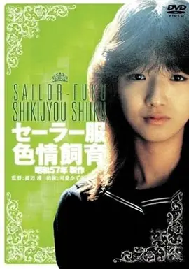山海拾遗录 国产动画片